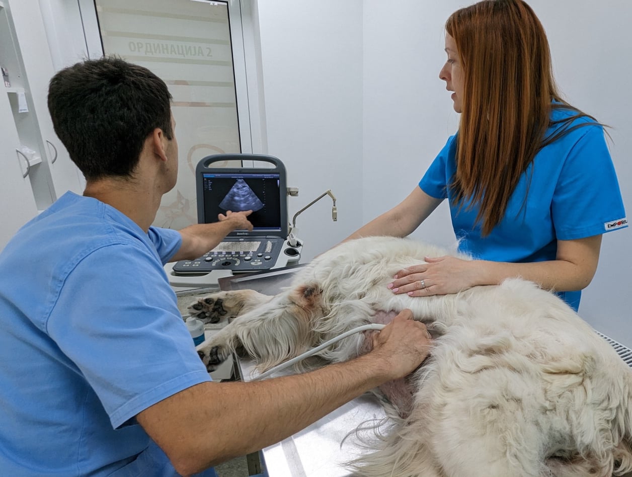 laboratorijska_dijagnostika_Lav_Vet