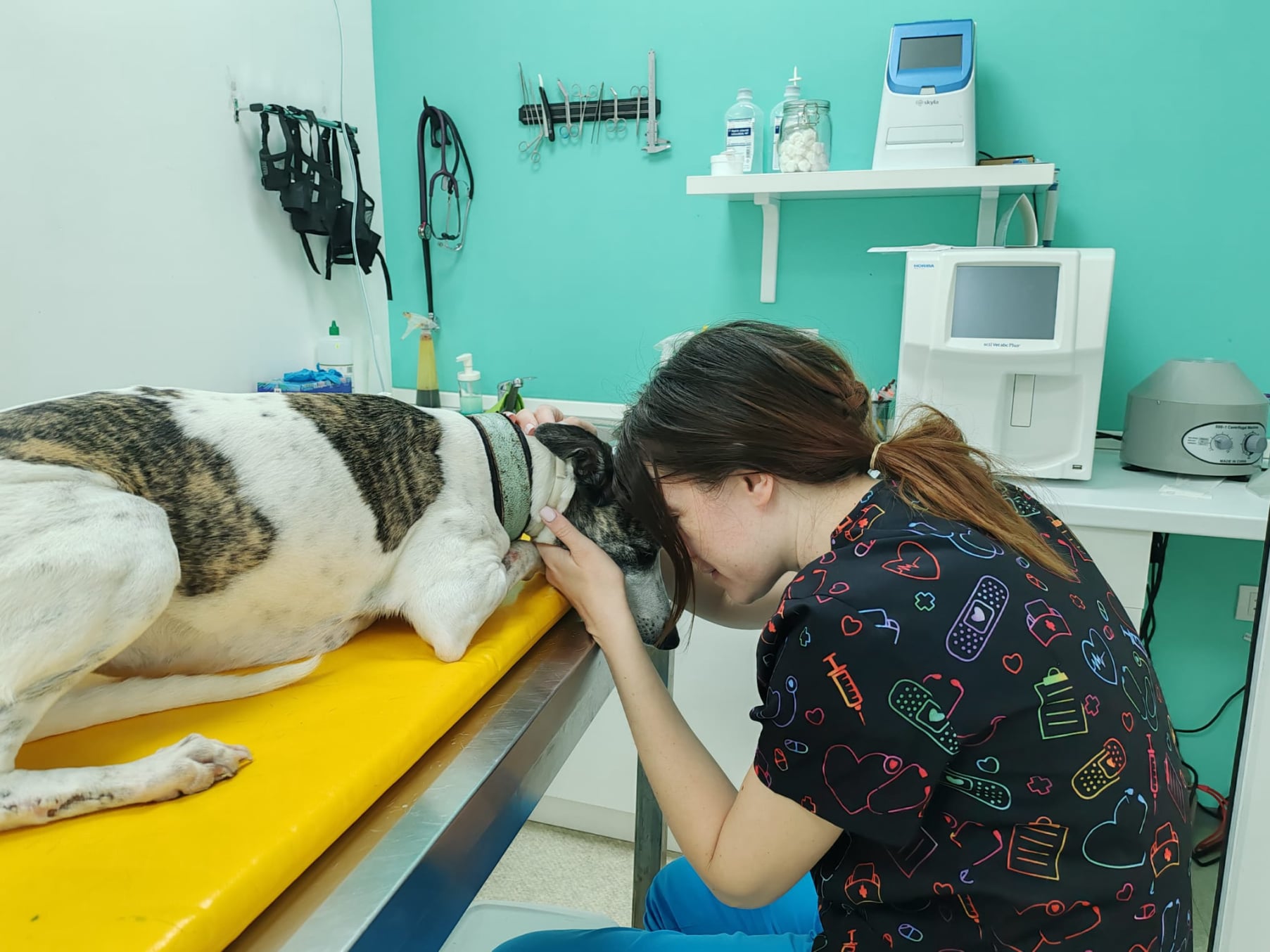 Onkoloski pregled Lav Vet